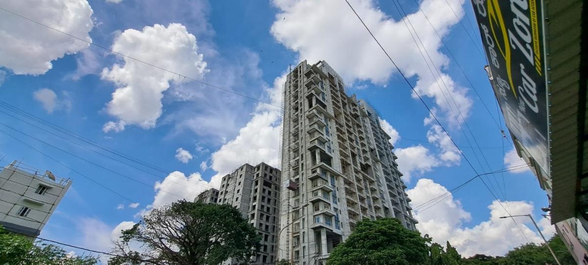 Samsung Galaxy A53 camera sample