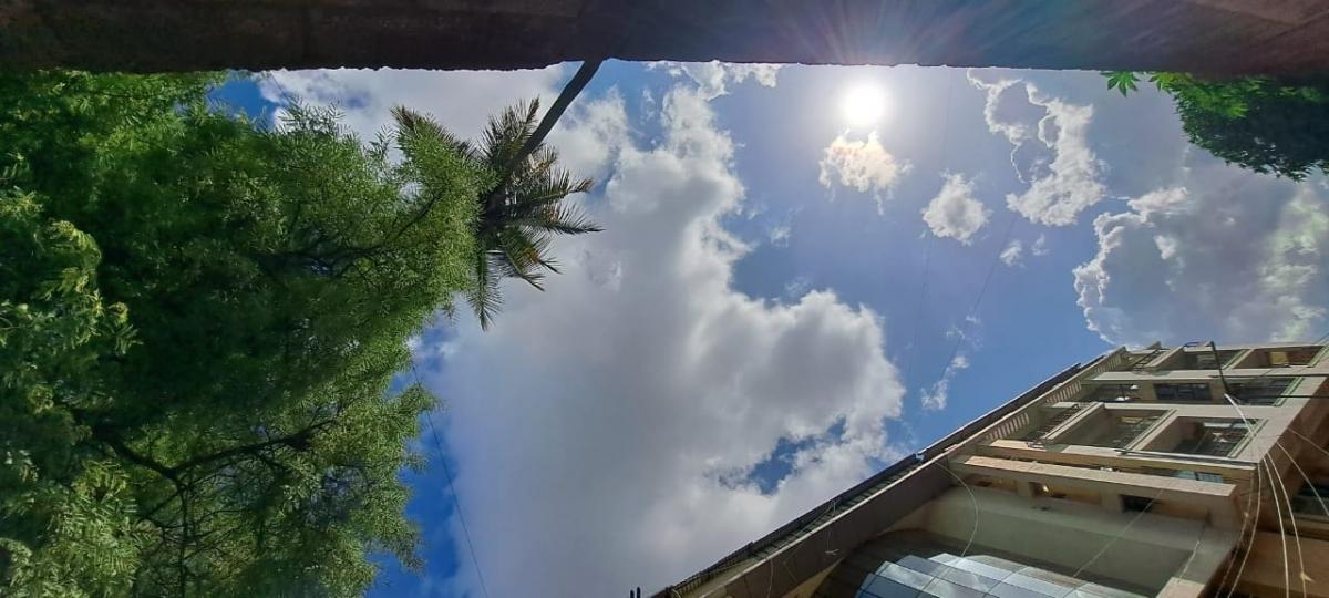 Samsung Galaxy A53 camera sample