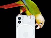 Nothing phone (1)