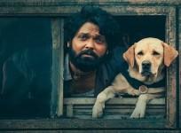 Charlie 777 Box Office Collection