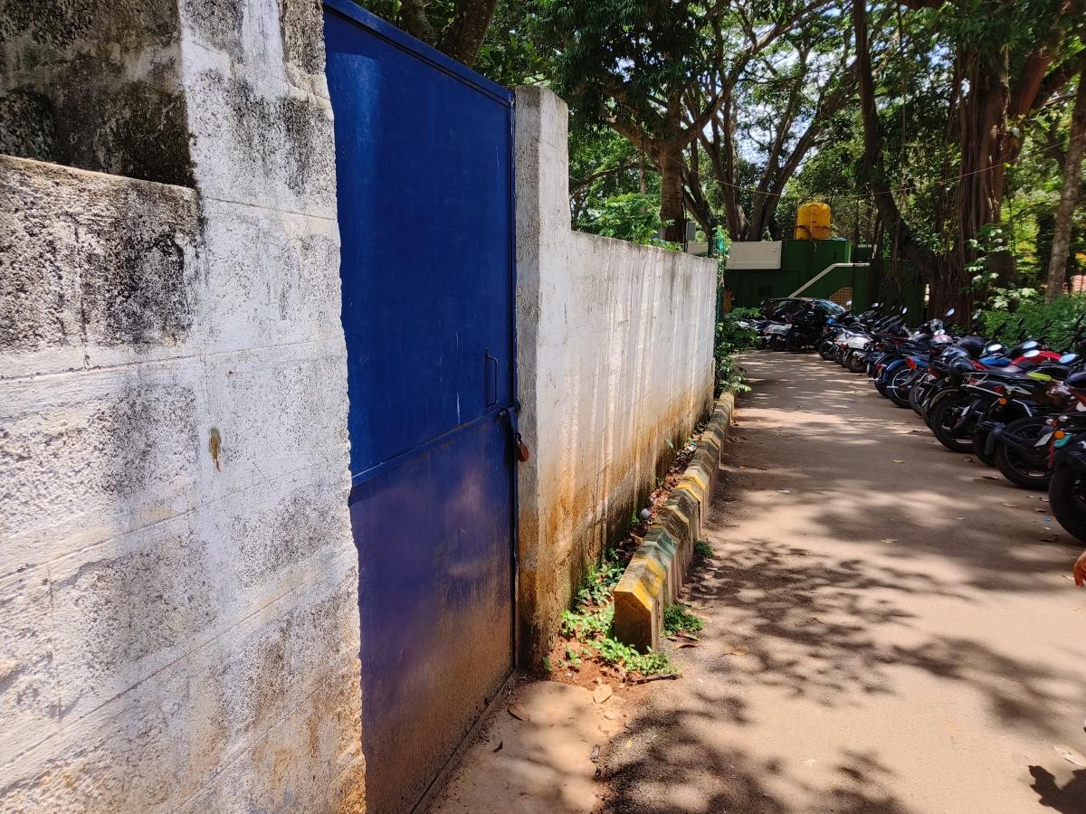 OnePlus 10R camera sample: Auto mode OnePlus 10R camera sample