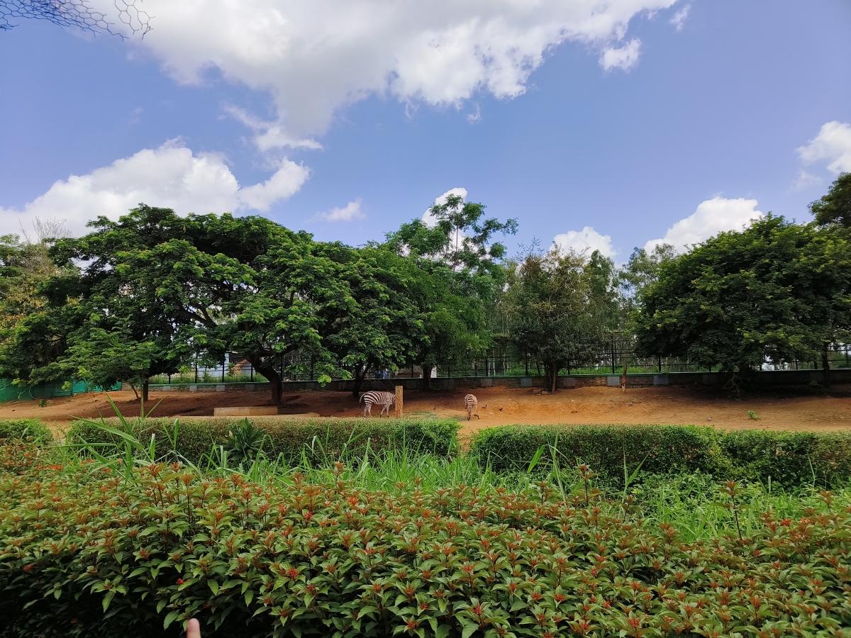 OnePlus 10R camera sample OnePlus 10R camera sample