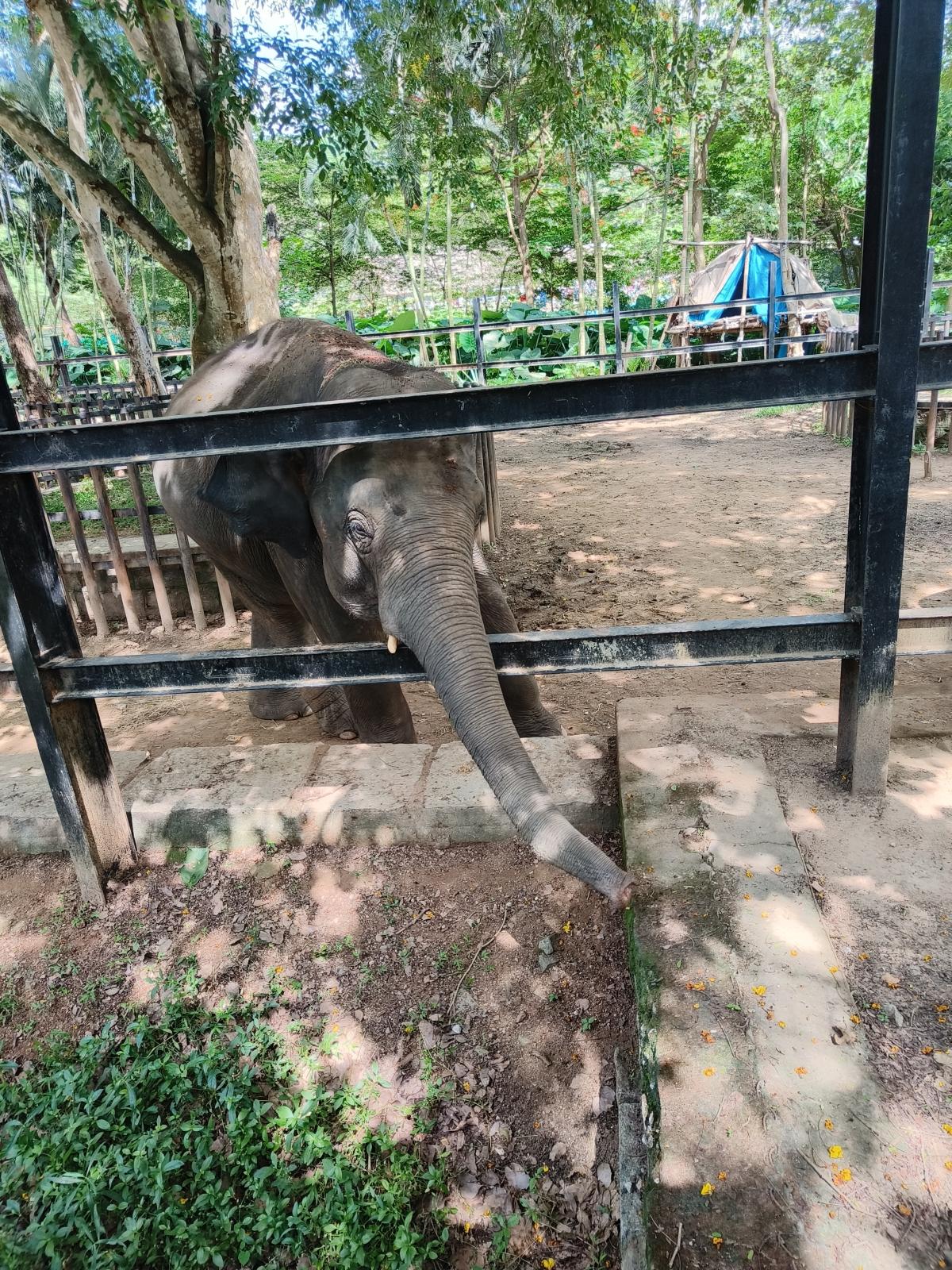 OnePlus 10R camera sample OnePlus 10R camera sample