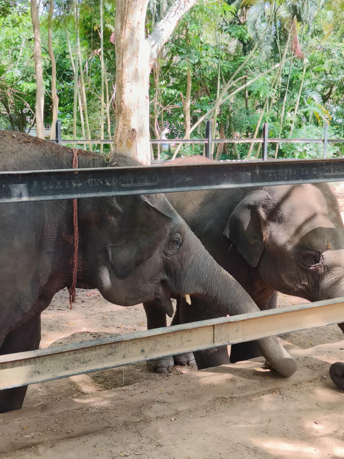 OnePlus 10R camera sample OnePlus 10R camera sample