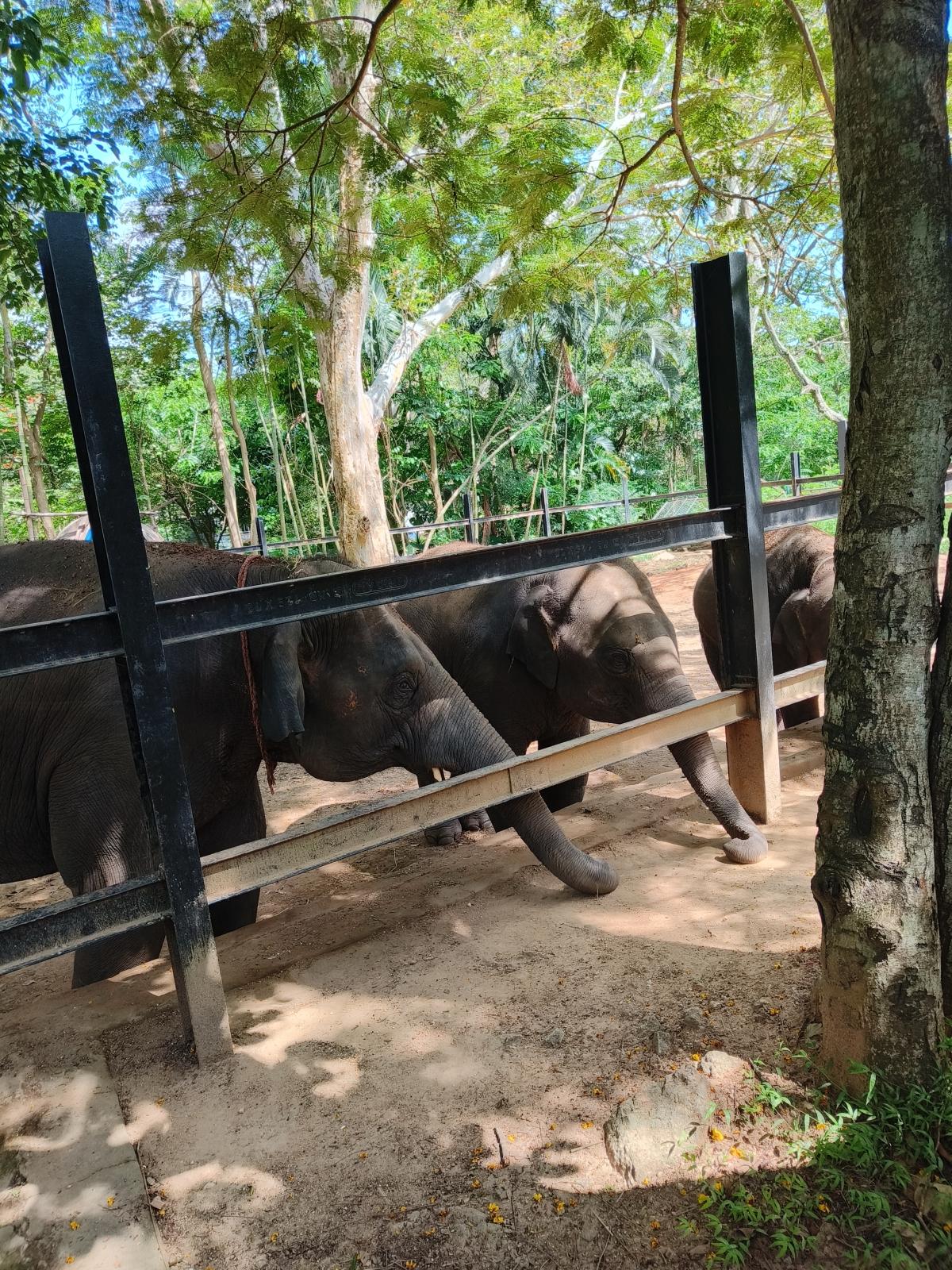 OnePlus 10R camera sample OnePlus 10R camera sample