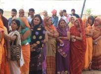 MP elections