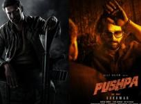 Salaar and Pushpa 2