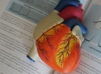 Adopt a simple and affordable lifestyle to prevent heart attacks