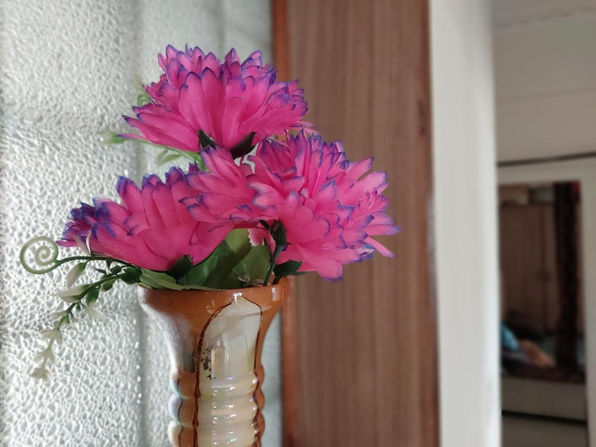 Samsung Galaxy F23 camera sample