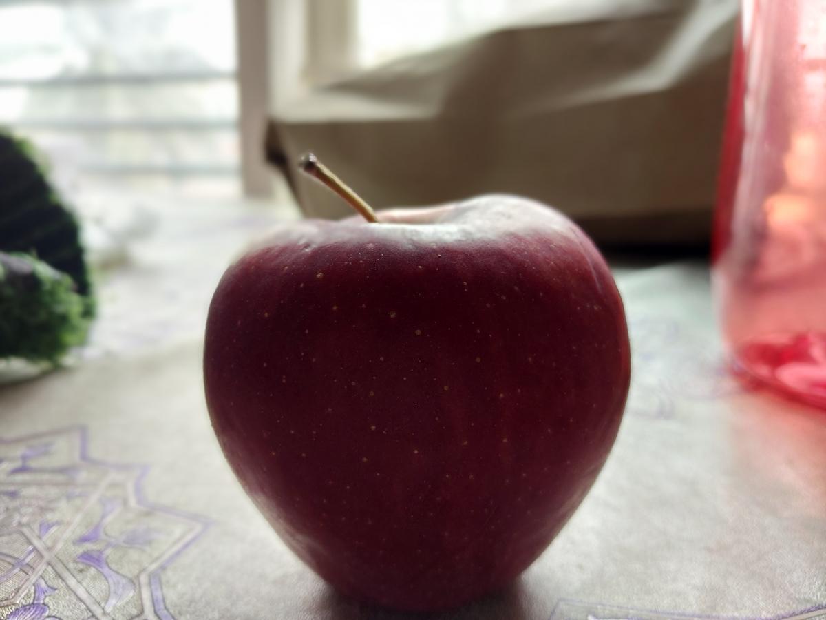 Samsung Galaxy F23 camera sample