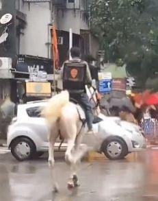 Swiggy hunts for unknown viral delivery man riding horse Swiggy hunts for unknown viral delivery man riding horse