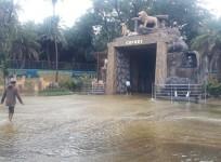 Safari Park at Hyderabad Zoo flooded
