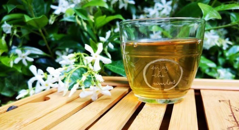 Revisit the proven benefits of green tea, before your incorporate it in your diet Revisit the proven benefits of green tea, before your incorporate it in your diet