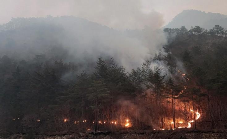 Wildfire Wildfire