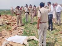 Will take strict action against those behind DSP's murder in Nuh: Anil Vij