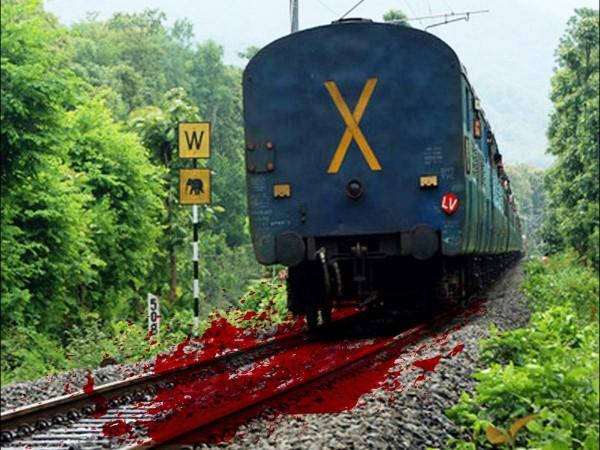 Blood on railway tracks Railway tracks