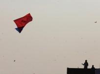 Kites