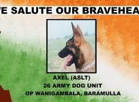 Axel