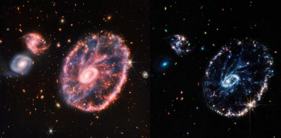 Webb telescope images colourful Cartwheel Galaxy.