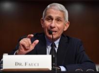 Anthony Fauci