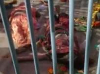 Stampede in Rajasthan's Khutu Shyam temple, three pilgrims die