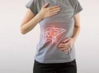 liver