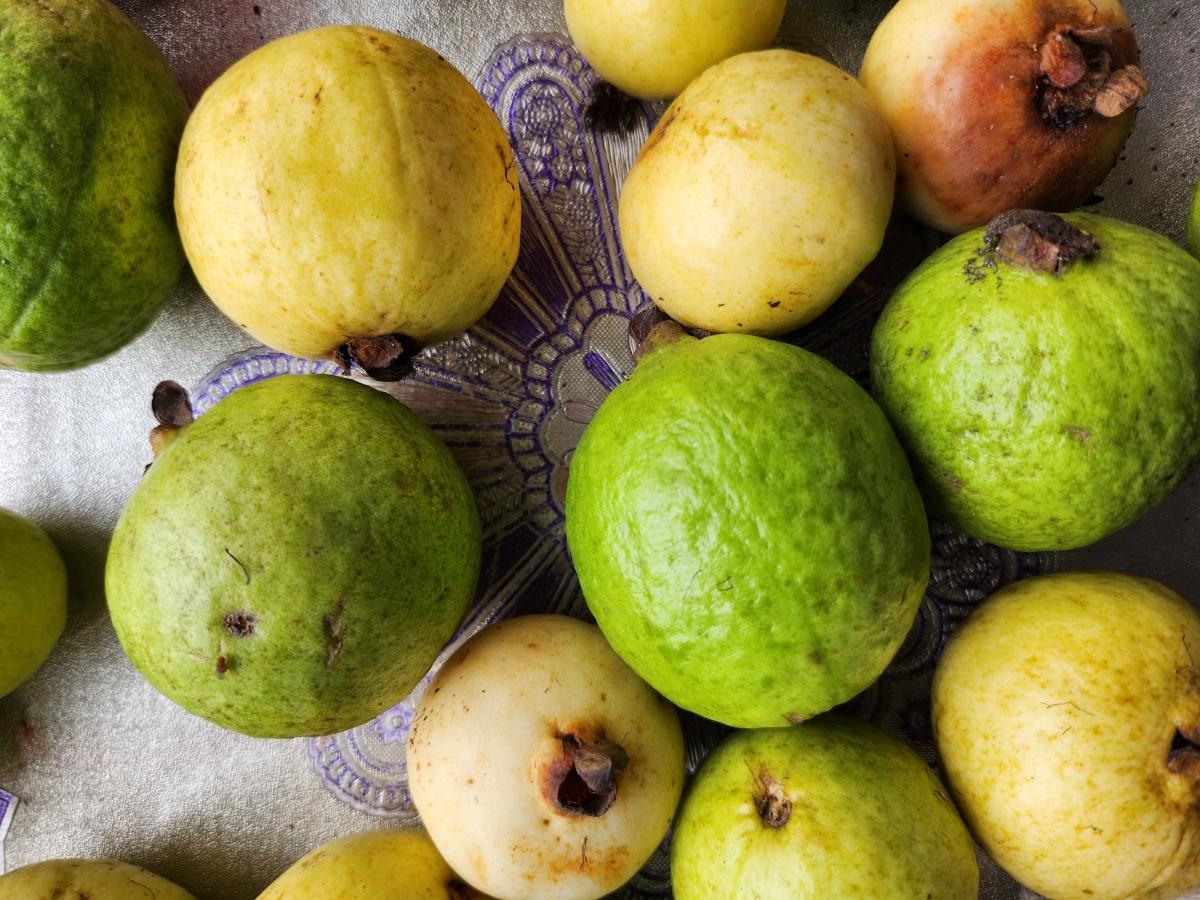 Samsung Galaxy Z Flip 4 camera sample