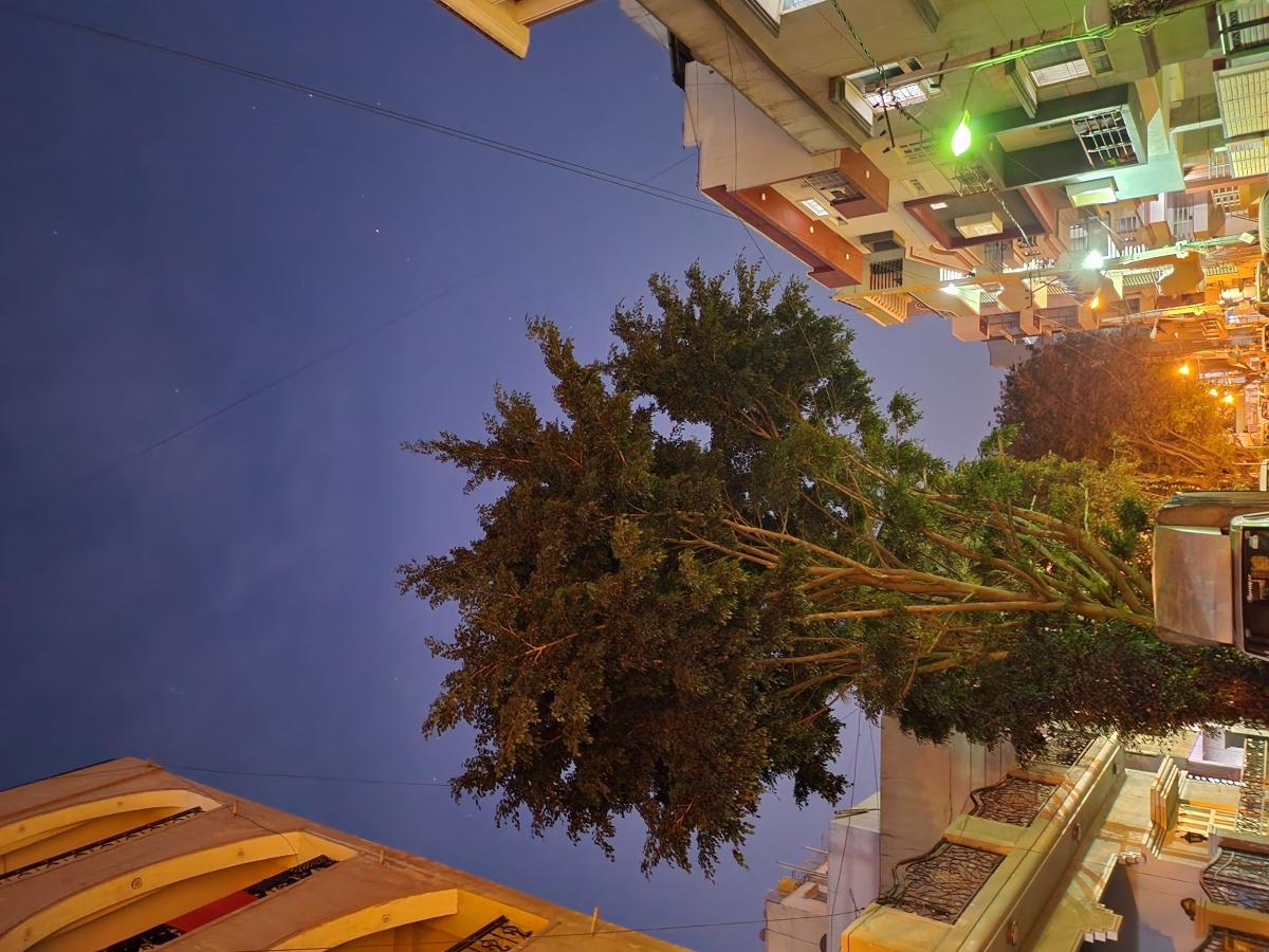 Samsung Galaxy Z Flip 4 camera sample