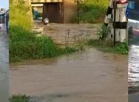 Incessant rains