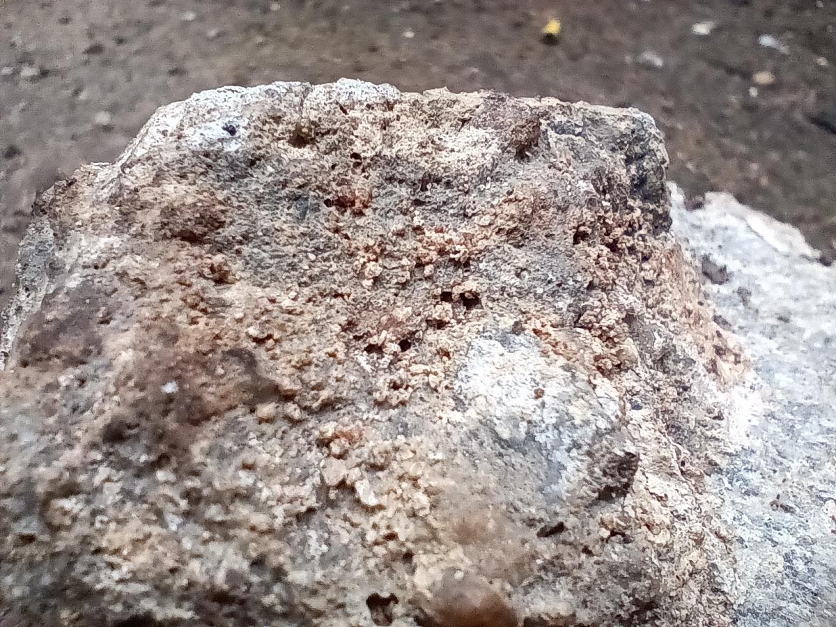 Poco M5 camera sample