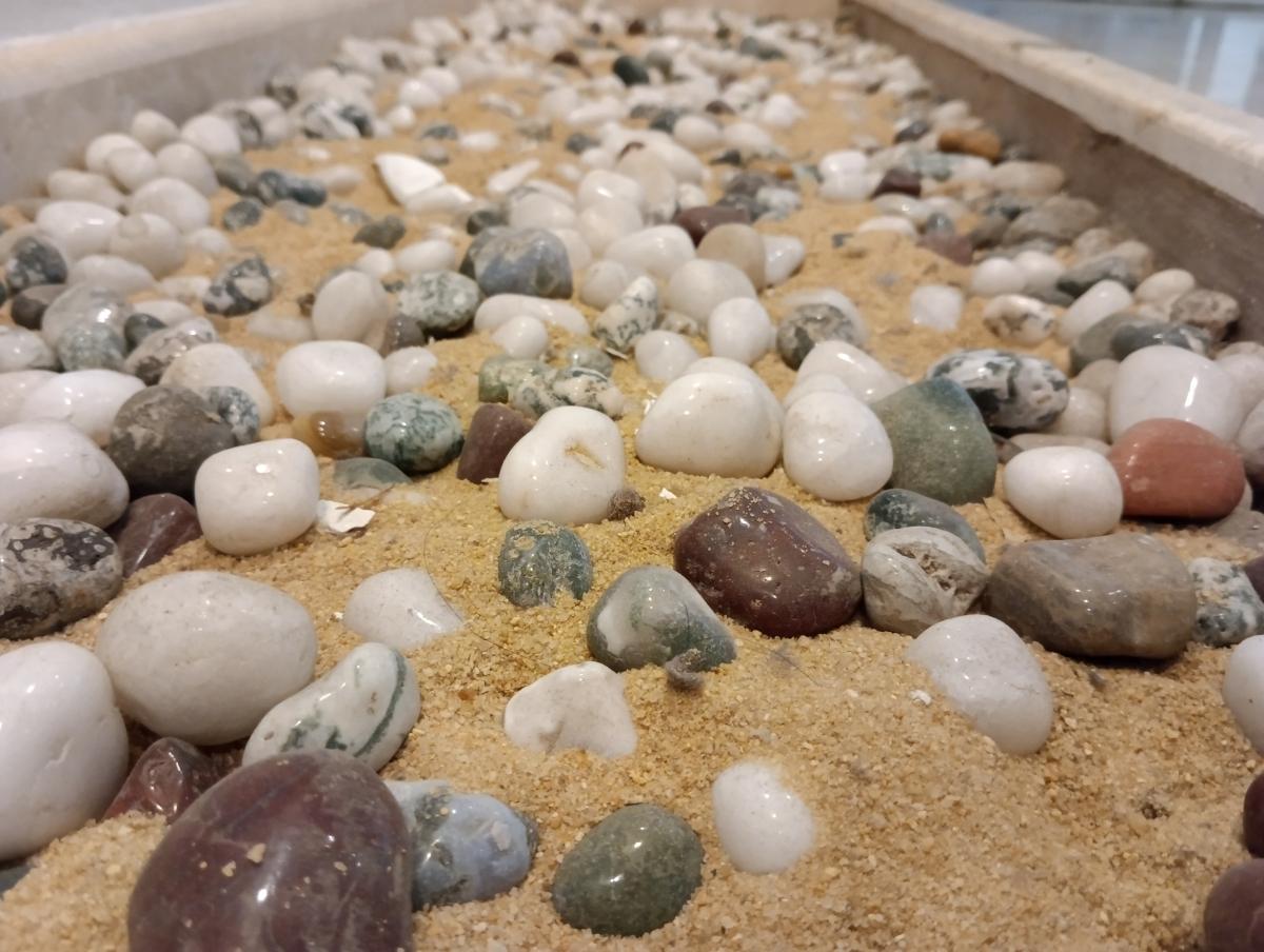 Poco M5 camera sample