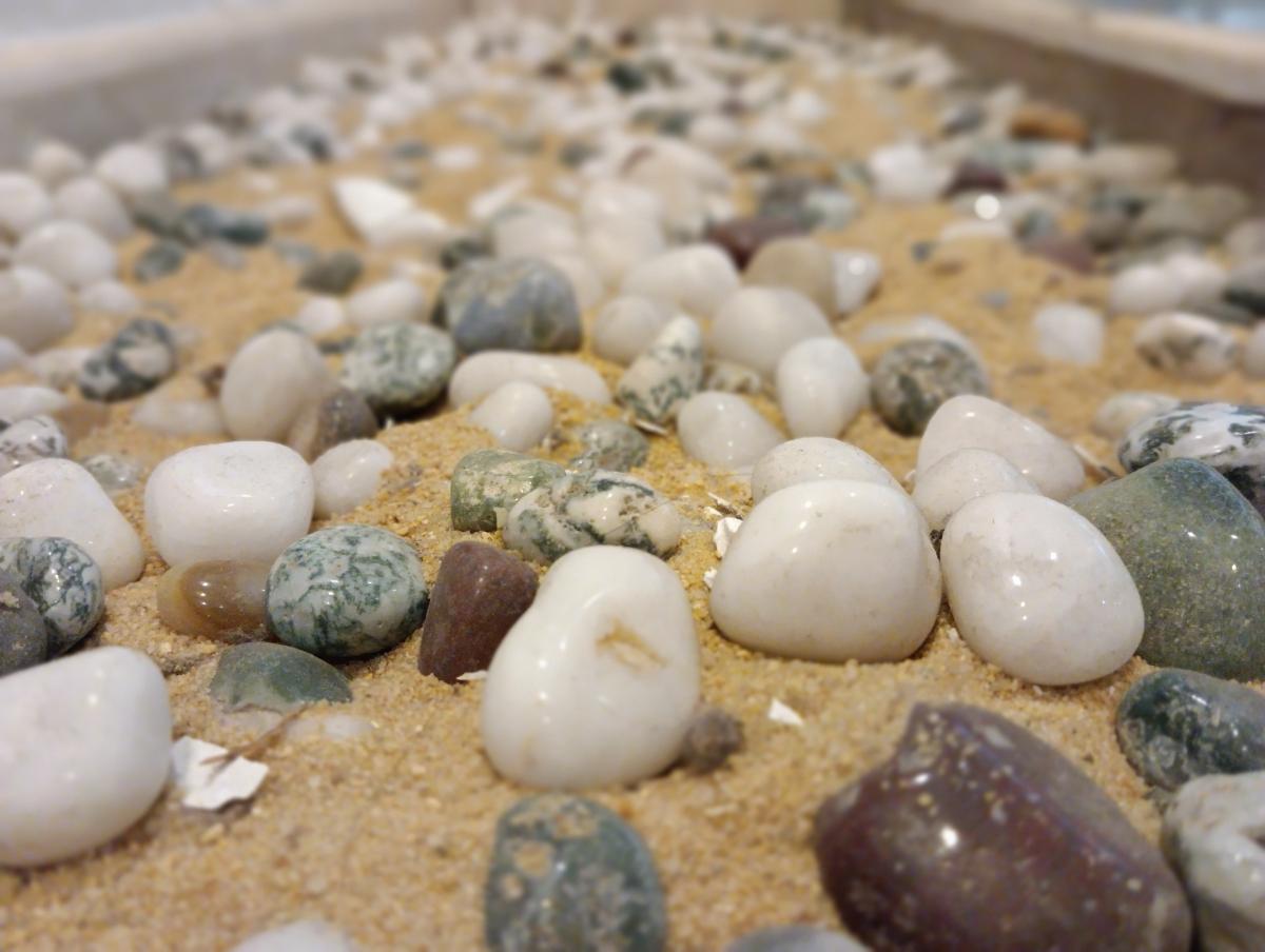 Poco M5 camera sample