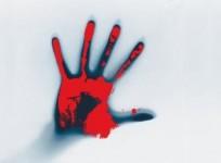 Telangana man kills wife playing Bathukamma