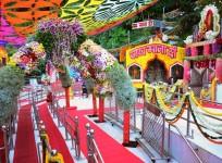 Flowers at Mata Vaishno Devi