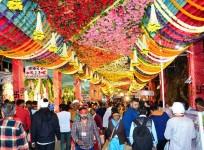 Flowers at Mata Vaishno Devi