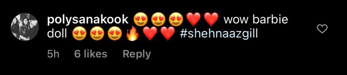 Shehnaaz Gill Comments