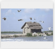 Point Calimere bird sanctuary Point Calimere bird sanctuary