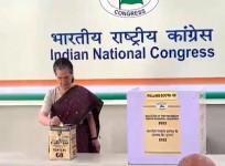 I was waiting for long time: Sonia on Cong prez poll.