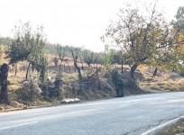 Major terror attack averted, 20 kg IED defused in J&K