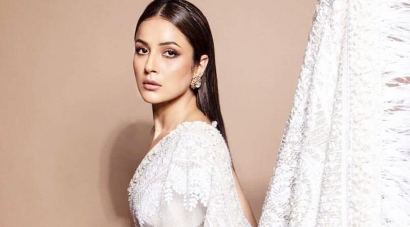 shehnaaz gill