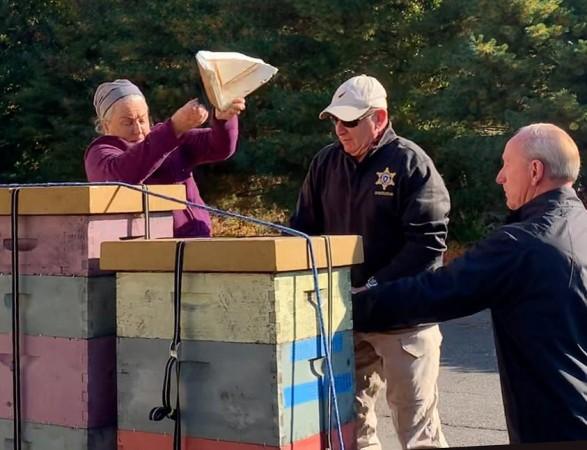 Woods breaking the lid and releasing the bees Bees