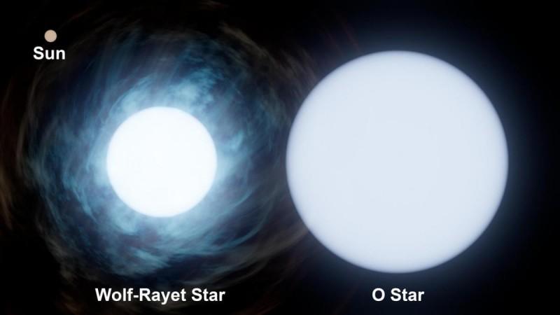 This graphic shows the relative size of the Sun, upper left, compared to the two stars in the system known as Wolf-Rayet 140. The O-type star is roughly 30 times the mass of the Sun, while its companion is about 10 times the mass of the Sun. This graphic shows the relative size of the Sun, upper left, compared to the two stars in the system known as Wolf-Rayet 140. T