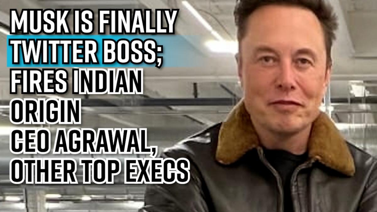 Desi Job Security Memes Flooded After Elon Musk Fires CEO Parag Agrawal ...