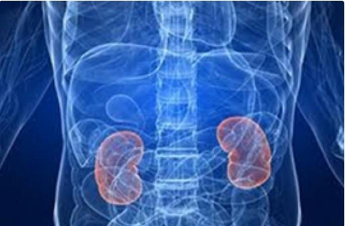Kidney damage is the silent killer in Covid patients, say US top docs Kidney damage is the silent killer in Covid patients, say US top docs