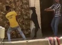 Dog hanged to death