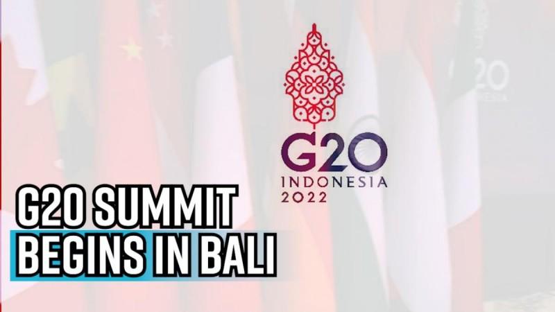 G20 summit begins in Bali; Economic recovery, Climate change high on agenda G20 summit begins in Bali; Economic recovery, Climate change high on agenda