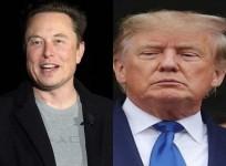Musk, Trump