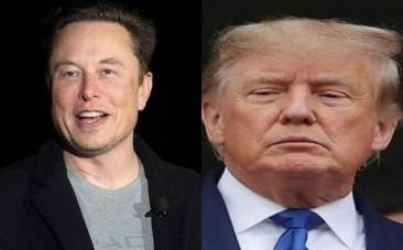 Musk, Trump