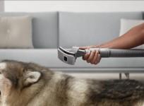 Dyson Pet grooming kit launched in India