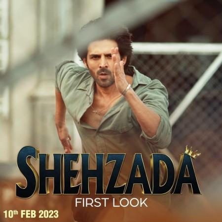 shehzada